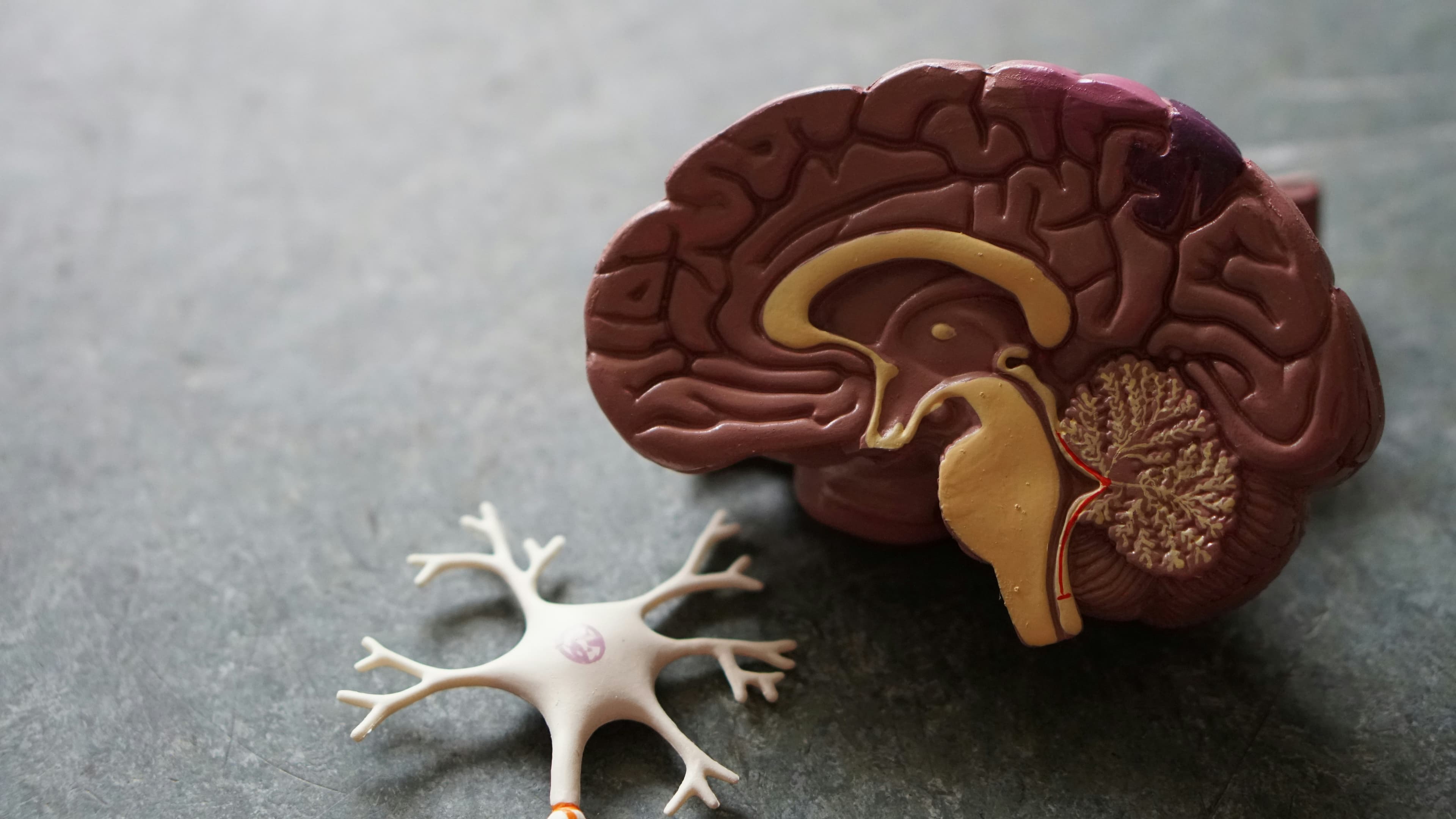 GLP-1 y Cáncer de Tiroides: Lo Que la Investigación Real Dice Sobre el Riesgo